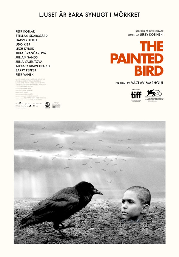 Omslag till filmen: The Painted Bird